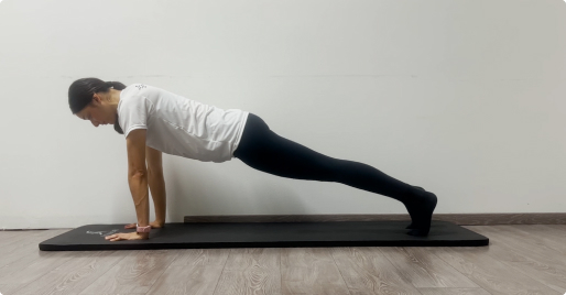 Plancha Frontal